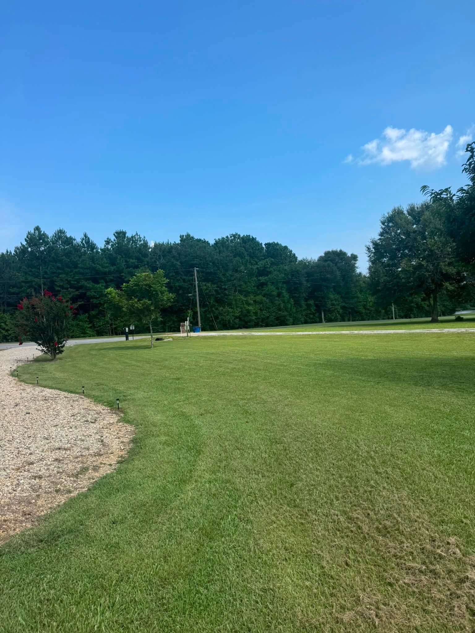 A wide Picayune lawn cut and edged clean along a gravel drive